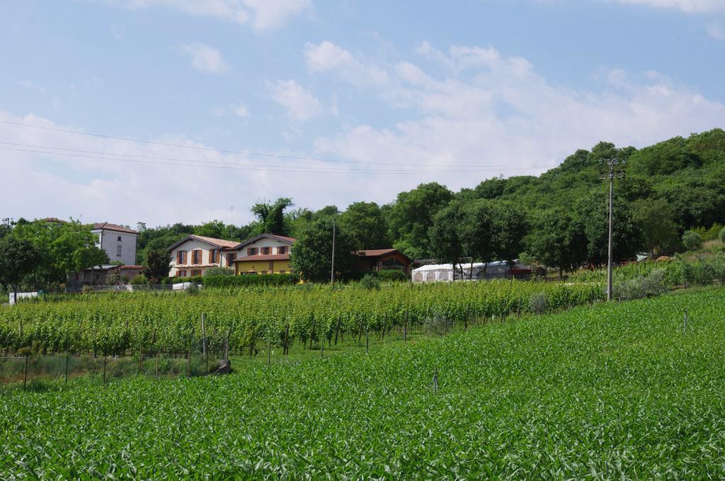 Agriturismo Casa Villi Solferino Buitenkant foto